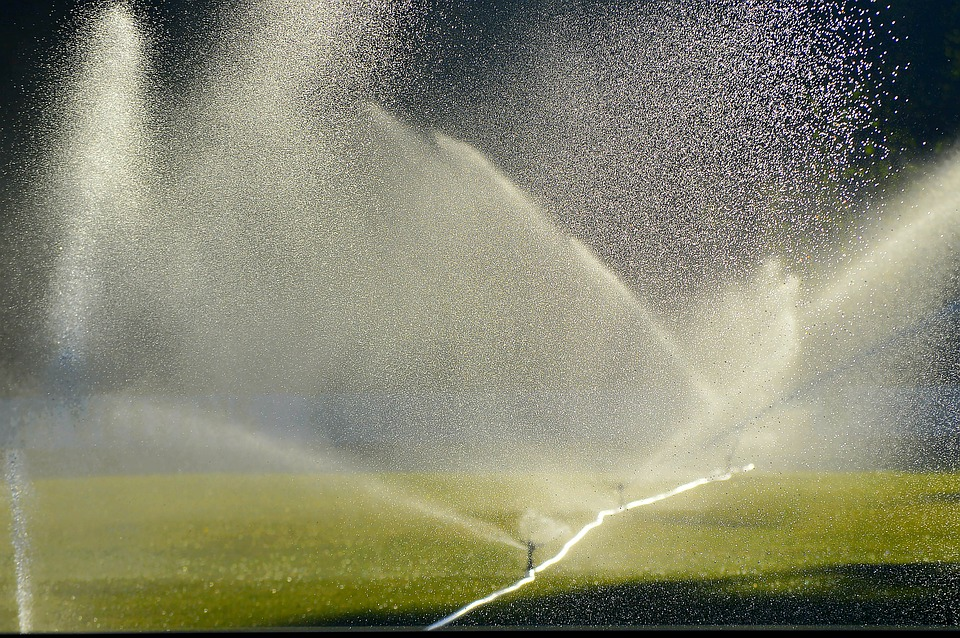 Het klinkt zo grappig: de Rainbird